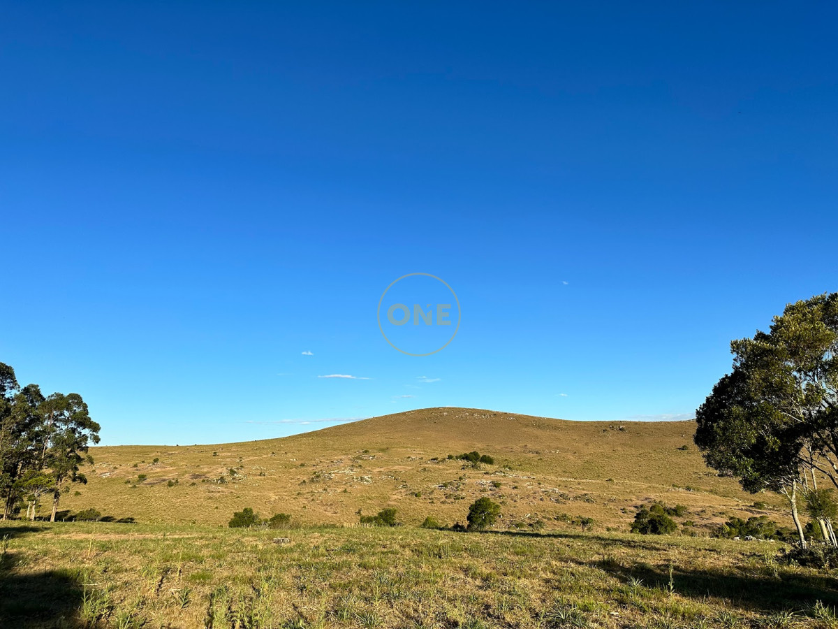 Chacra ID.1694 - Venta Chacra 50 hectáreas Punta de San Francisco Maldonado