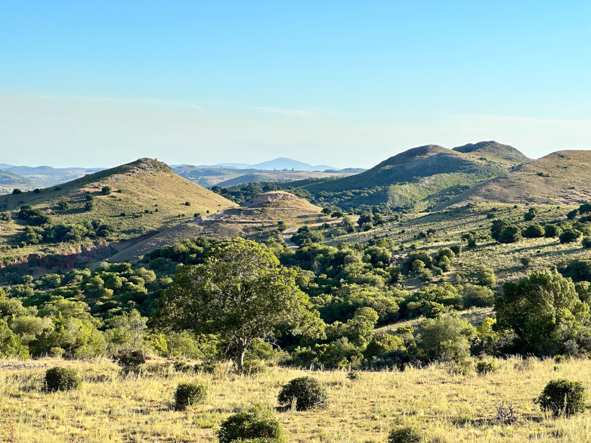 Chacra ID.1694 - Venta Chacra 50 hectáreas Punta de San Francisco Maldonado