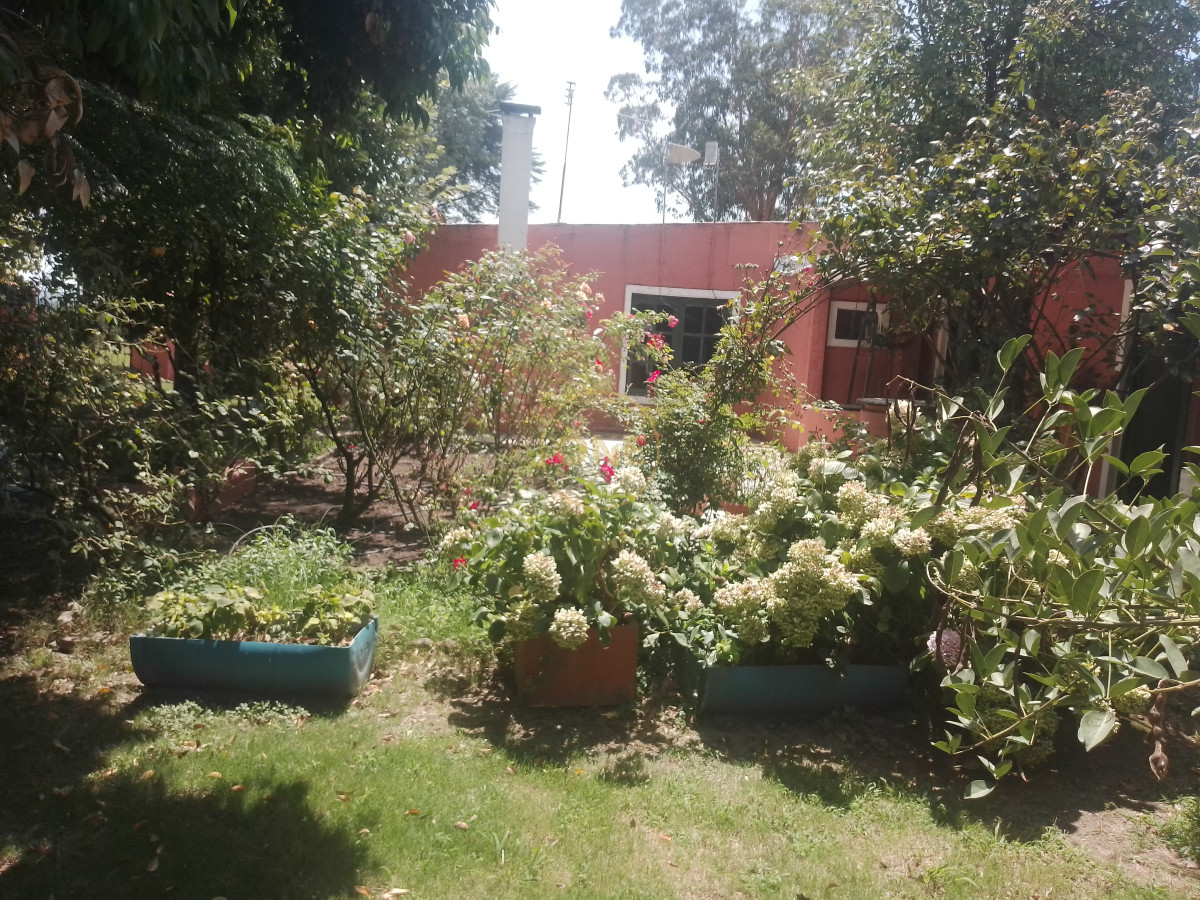 Chacra ID.1652 - venta chacra de 5 hectáreas con bodega y pulpería San Carlos Maldonado