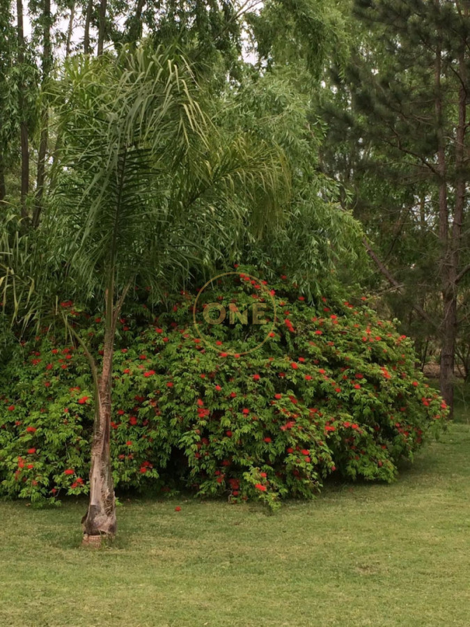 Chacra ID.2343 - Chacra Ruta 12