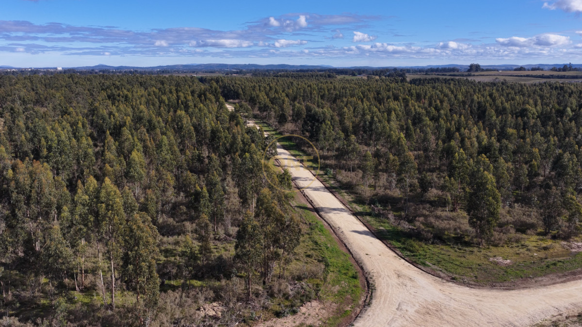 Chacra ID.2099 - AIRES DE MANANTIALES: CHACRAS DE TRES HECTÁREAS CERCA DE TODO
