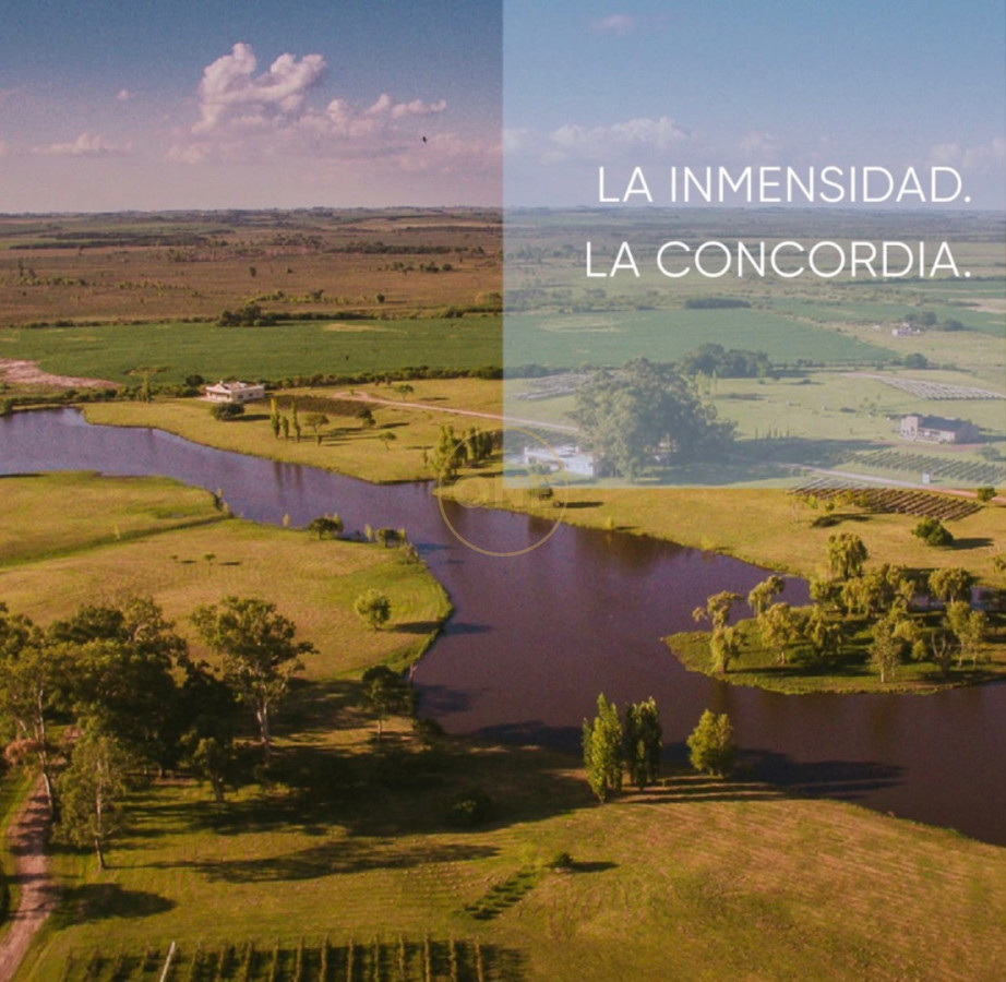 Chacra ID.2382 - La Concordia- Carmelo