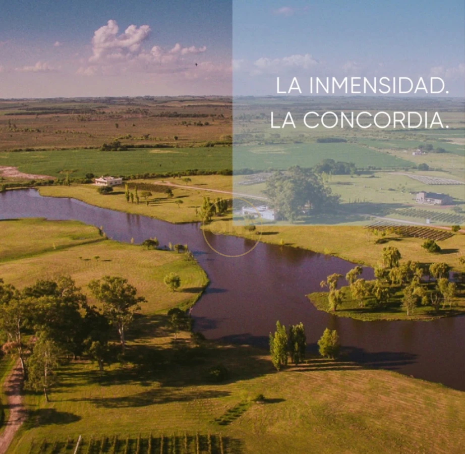 Chacra ID.2382 - La Concordia- Carmelo