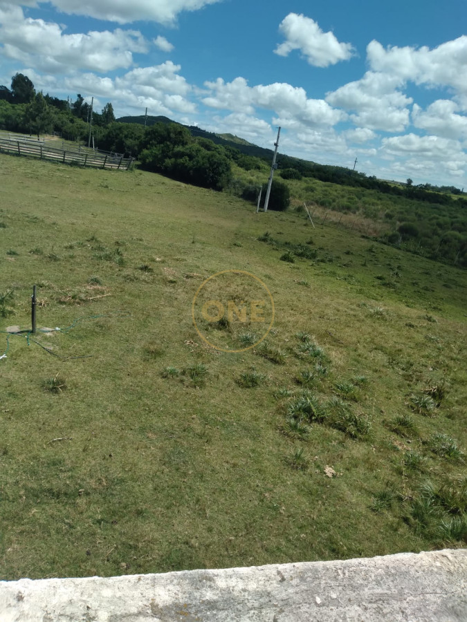Chacra ID.1598 - Chacra en venta de  5 hectáreas en Pan de Azúcar Piriapolis