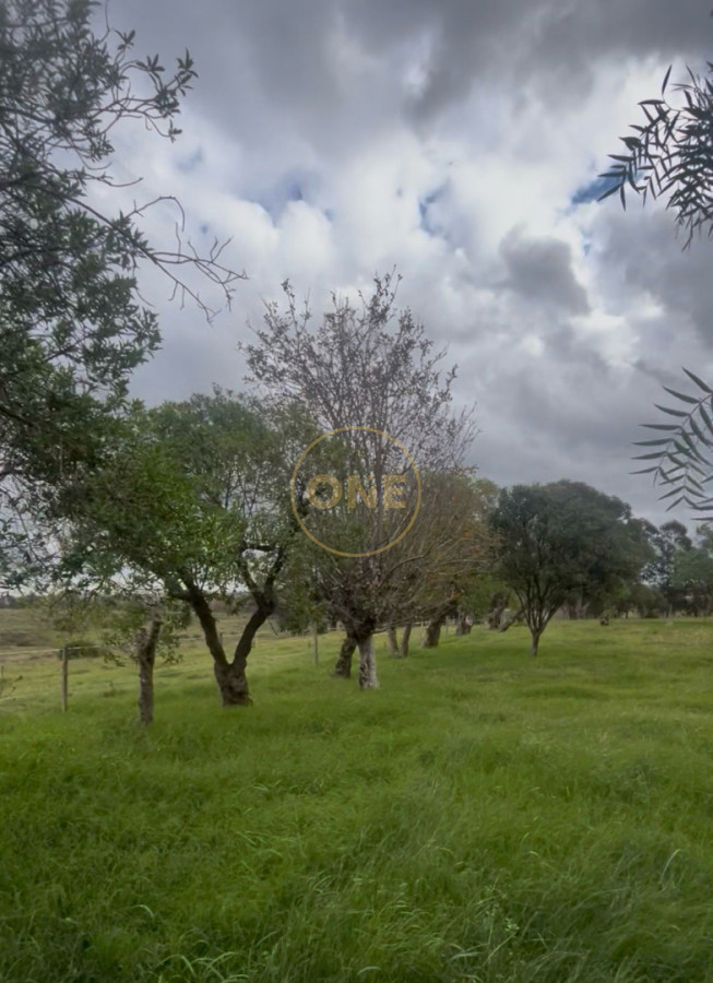 Chacra ID.2259 - Chacra 74 hás productivas a 30 de Manantiales