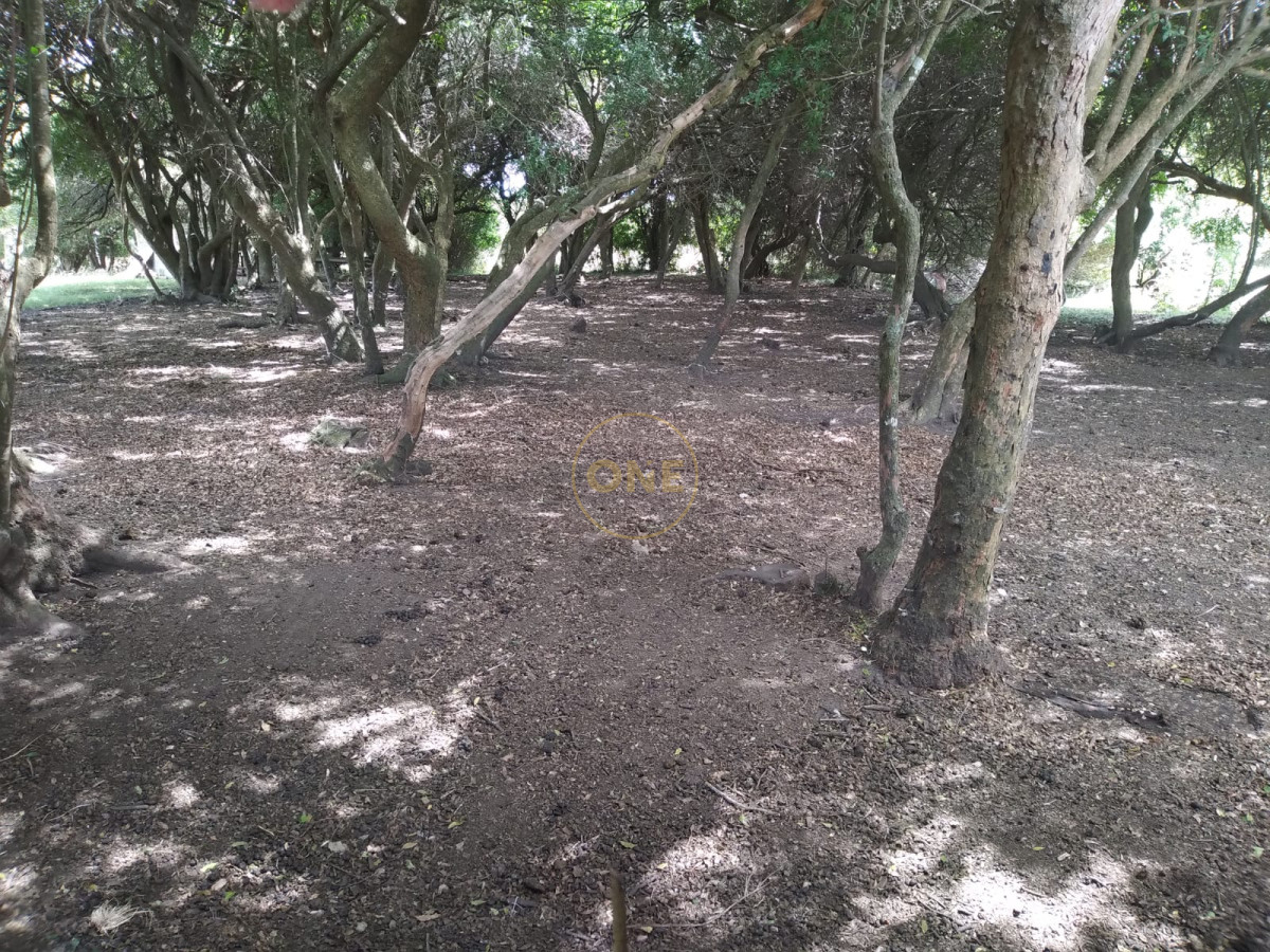 Chacra ID.1598 - Chacra en venta de  5 hectáreas en Pan de Azúcar Piriapolis