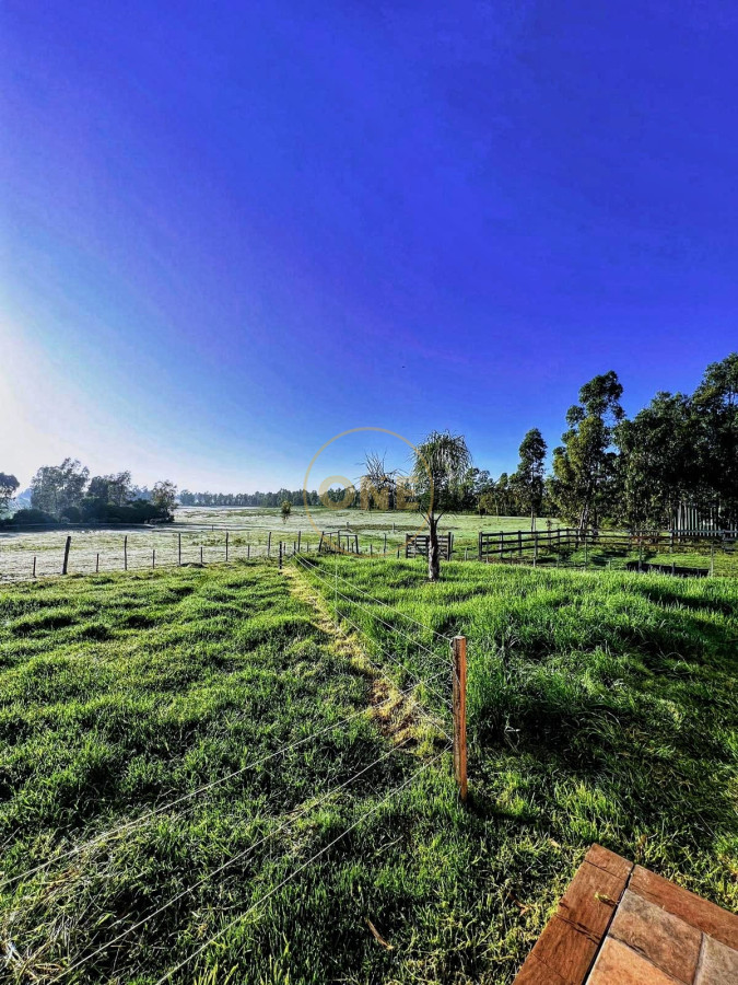 Chacra ID.1602 - Venta Chacra de 8 hectáreas en San Jacinto Canelones