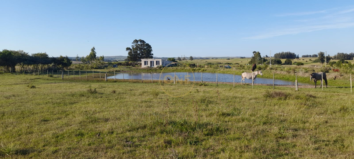 Chacra ID.1619 - Chacra 12 hectáreas con vivienda en Cañada Bellaca San Carlos