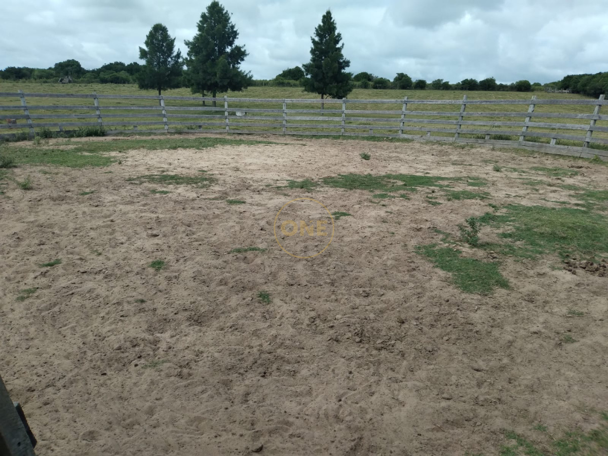 Chacra ID.1598 - Chacra en venta de  5 hectáreas en Pan de Azúcar Piriapolis