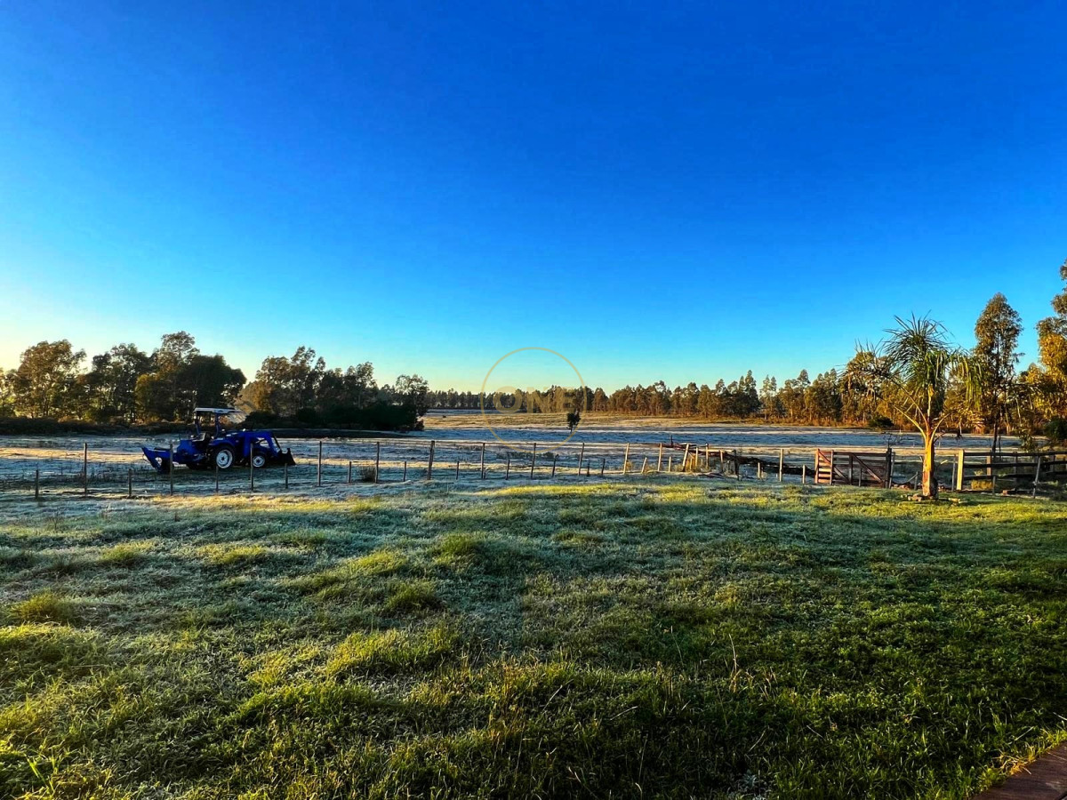 Chacra ID.1602 - Venta Chacra de 8 hectáreas en San Jacinto Canelones