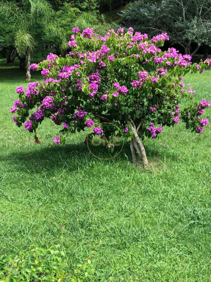 Chacra ID.2343 - Chacra Ruta 12