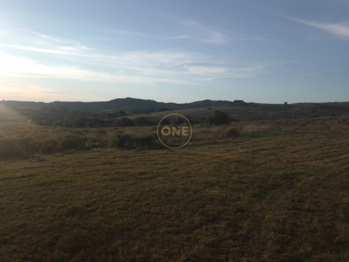 Chacra ID.1620 - Chacra en venta de 5 hectáreas Cerro Colorado Pan de Azúcar Piriápolis