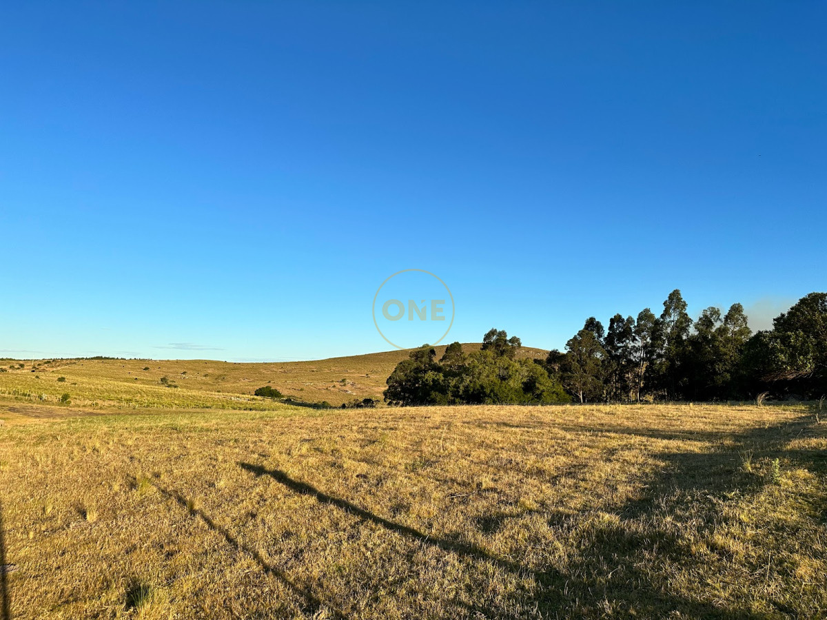 Chacra ID.1694 - Venta Chacra 50 hectáreas Punta de San Francisco Maldonado