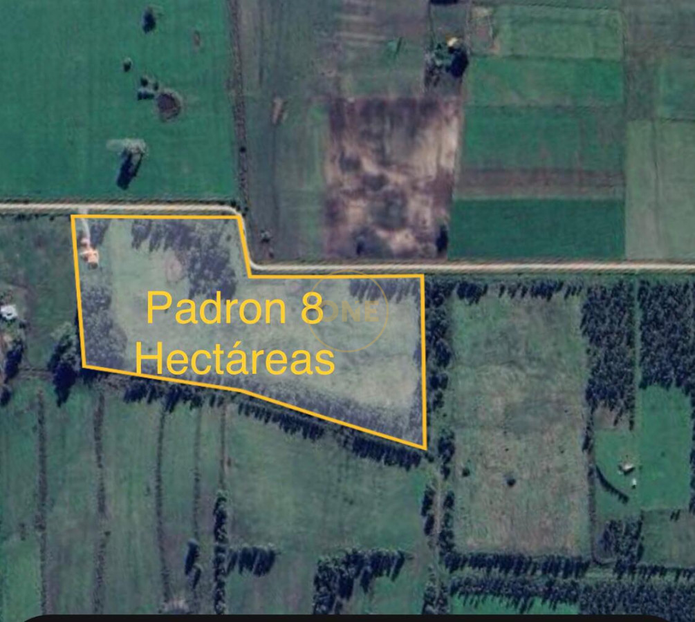 Chacra ID.1602 - Venta Chacra de 8 hectáreas en San Jacinto Canelones