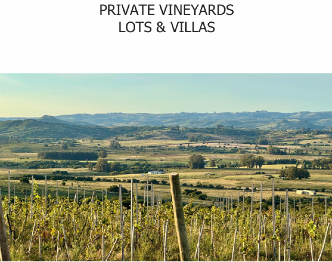 Venta parcelas de 5 hectáreas en Viña Edén Private Vineyards.  Punta del Este