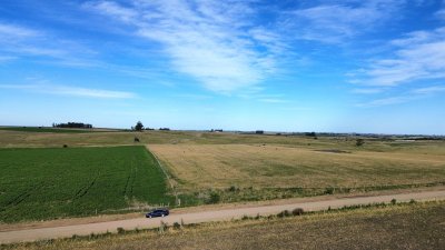 venta de campo de 150 hectáreas en curva matonte florida  - rog1575p