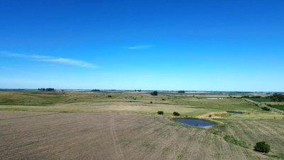 venta de campo de 150 hectáreas en curva matonte florida  - rog1575p