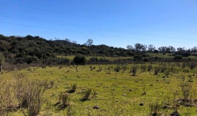 venta campo de 56 hectáreas en  lavalleja villa serrana - rog1601p