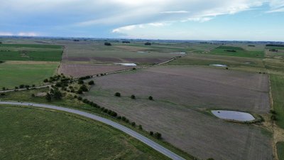 venta de campo de 150 hectáreas en curva matonte florida  - rog1575p