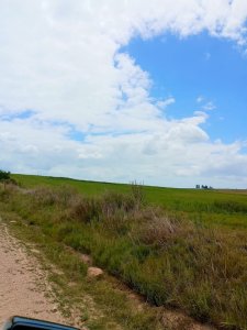 venta de campo de 150 hectáreas en curva matonte florida  - rog1575p