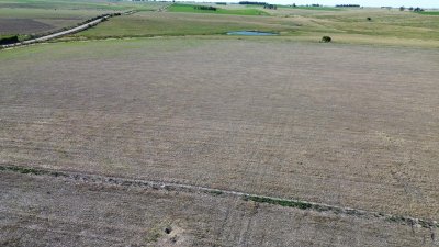venta de campo de 150 hectáreas en curva matonte florida  - rog1575p