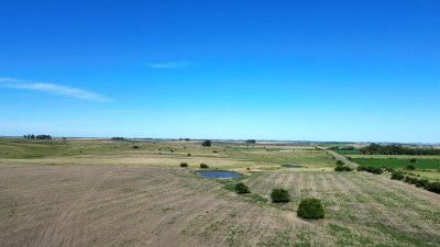 venta de campo de 150 hectáreas en curva matonte florida  - rog1575p