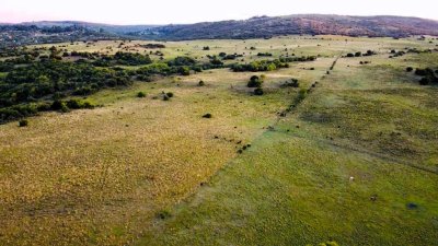 venta campo de 56 hectáreas en  lavalleja villa serrana - rog1601p
