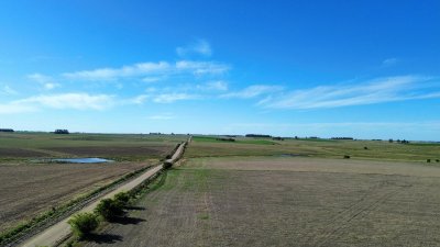 venta de campo de 150 hectáreas en curva matonte florida  - rog1575p