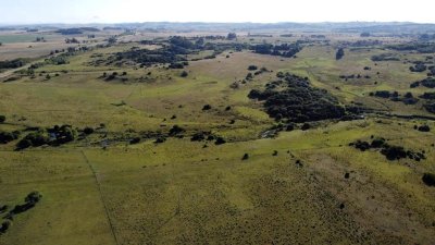 venta campo de 56 hectáreas en  lavalleja villa serrana - rog1601p