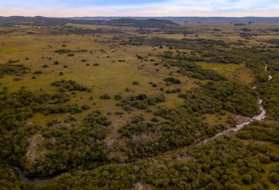 venta campo de 56 hectáreas en  lavalleja villa serrana - rog1601p