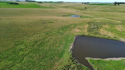 venta de campo de 150 hectáreas en curva matonte florida  - rog1575p