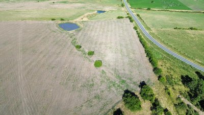 venta de campo de 150 hectáreas en curva matonte florida  - rog1575p