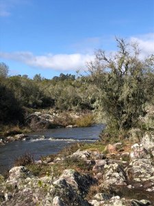 venta campo de 56 hectáreas en  lavalleja villa serrana - rog1601p