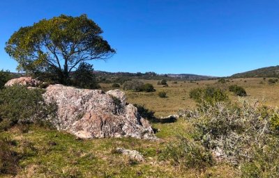 venta campo de 56 hectáreas en  lavalleja villa serrana - rog1601p