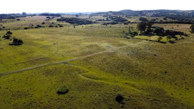 venta campo de 56 hectáreas en  lavalleja villa serrana - rog1601p