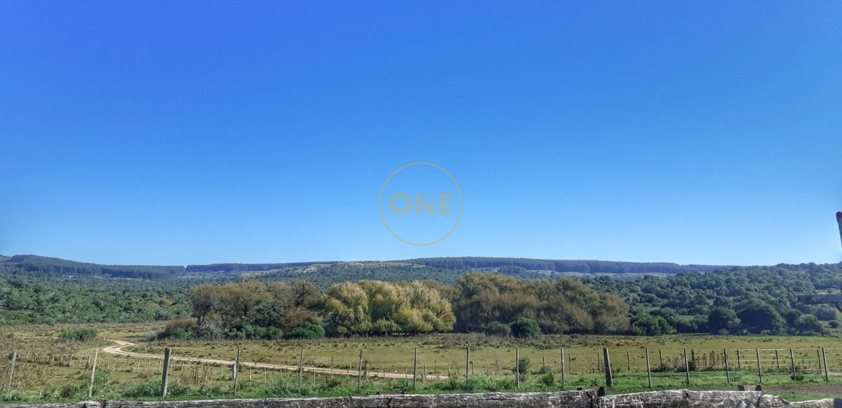 Campo Ref.1582 - Venta Campo de 330 hectáreas en Los Molles Villa Serrana Lavalleja