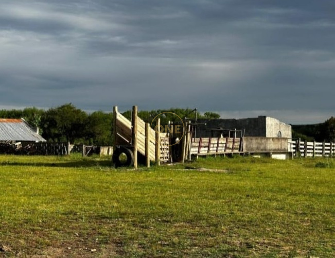 Campo Ref.1582 - Venta Campo de 330 hectáreas en Los Molles Villa Serrana Lavalleja