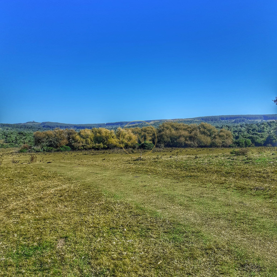 Campo Ref.1582 - Venta Campo de 330 hectáreas en Los Molles Villa Serrana Lavalleja