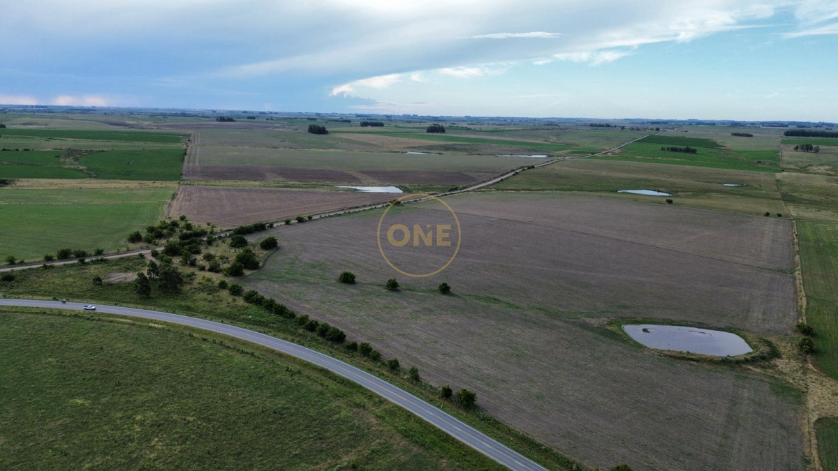 Campo Ref.1575 - venta de Campo de 150 hectáreas en Curva Matonte Florida 