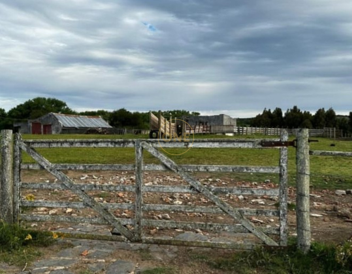 Campo Ref.1582 - Venta Campo de 330 hectáreas en Los Molles Villa Serrana Lavalleja