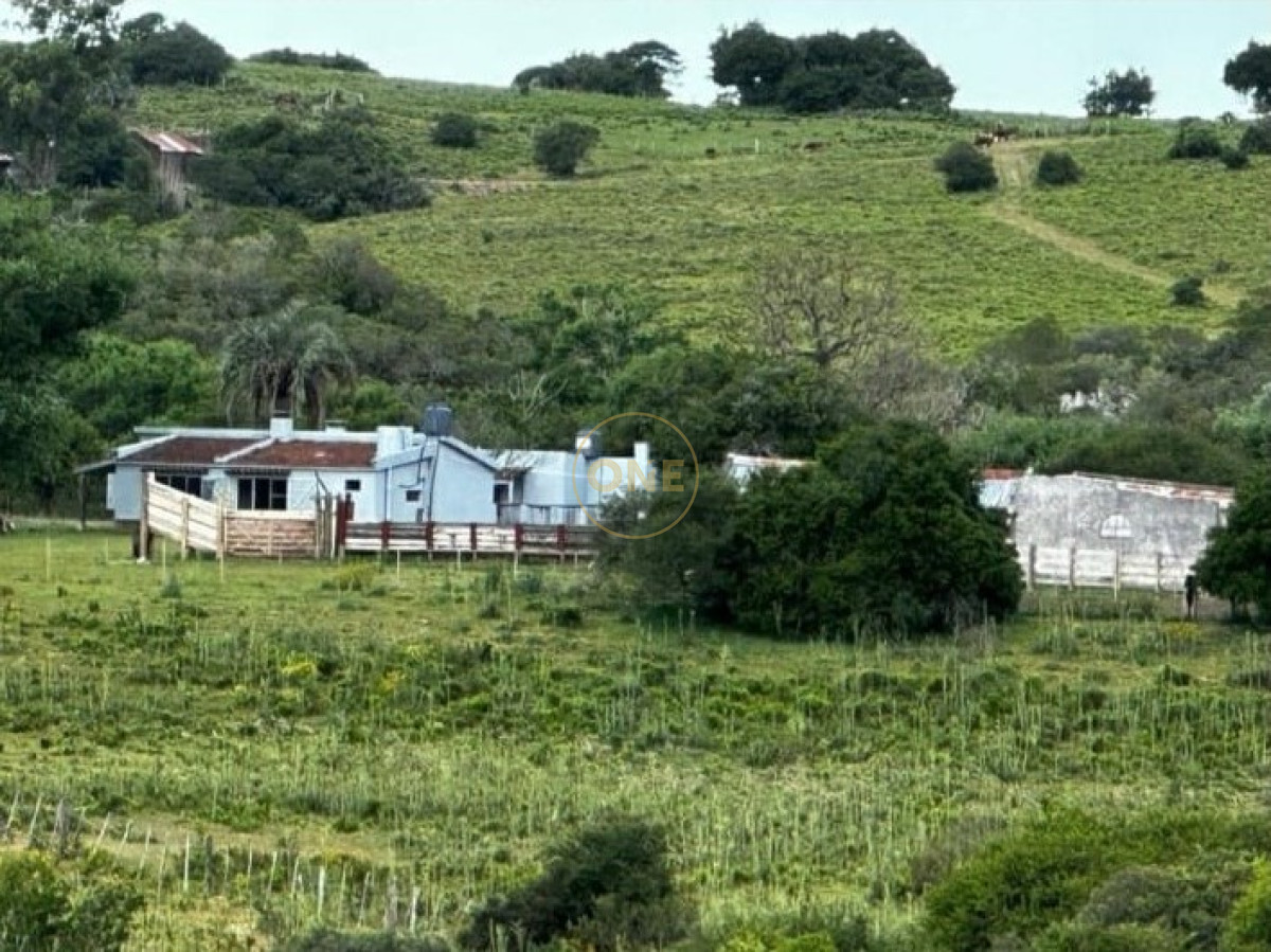 Campo Ref.1582 - Venta Campo de 330 hectáreas en Los Molles Villa Serrana Lavalleja