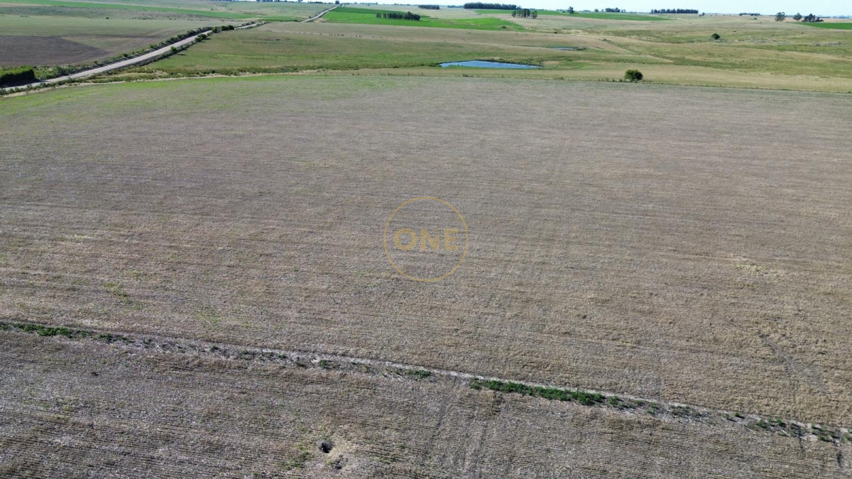 Campo Ref.1575 - venta de Campo de 150 hectáreas en Curva Matonte Florida 