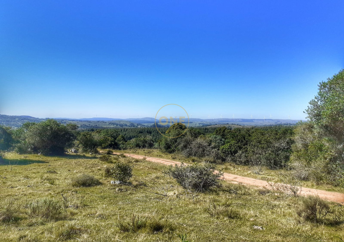 Campo Ref.1582 - Venta Campo de 330 hectáreas en Los Molles Villa Serrana Lavalleja