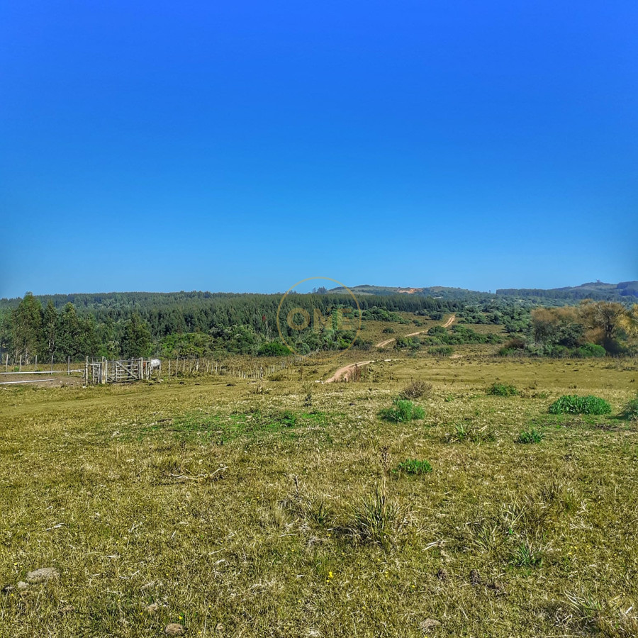 Campo Ref.1582 - Venta Campo de 330 hectáreas en Los Molles Villa Serrana Lavalleja