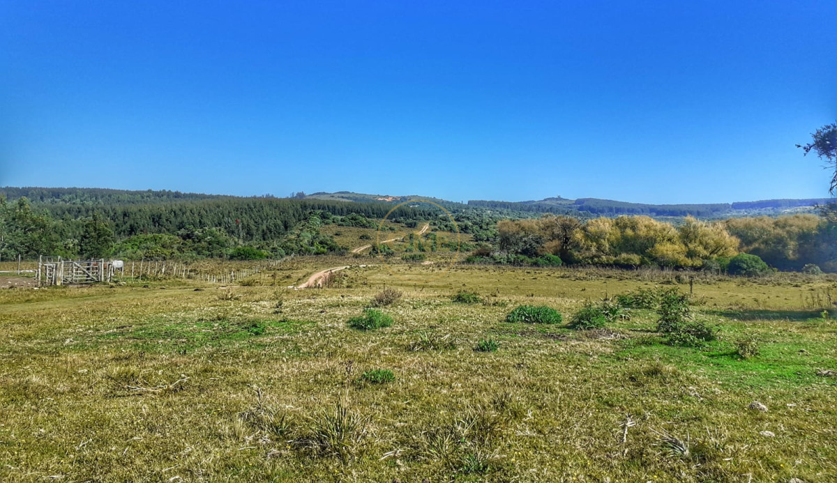 Campo Ref.1582 - Venta Campo de 330 hectáreas en Los Molles Villa Serrana Lavalleja