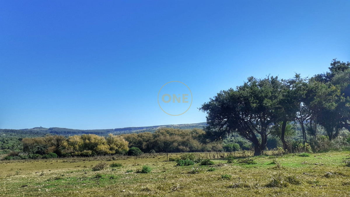 Campo Ref.1582 - Venta Campo de 330 hectáreas en Los Molles Villa Serrana Lavalleja