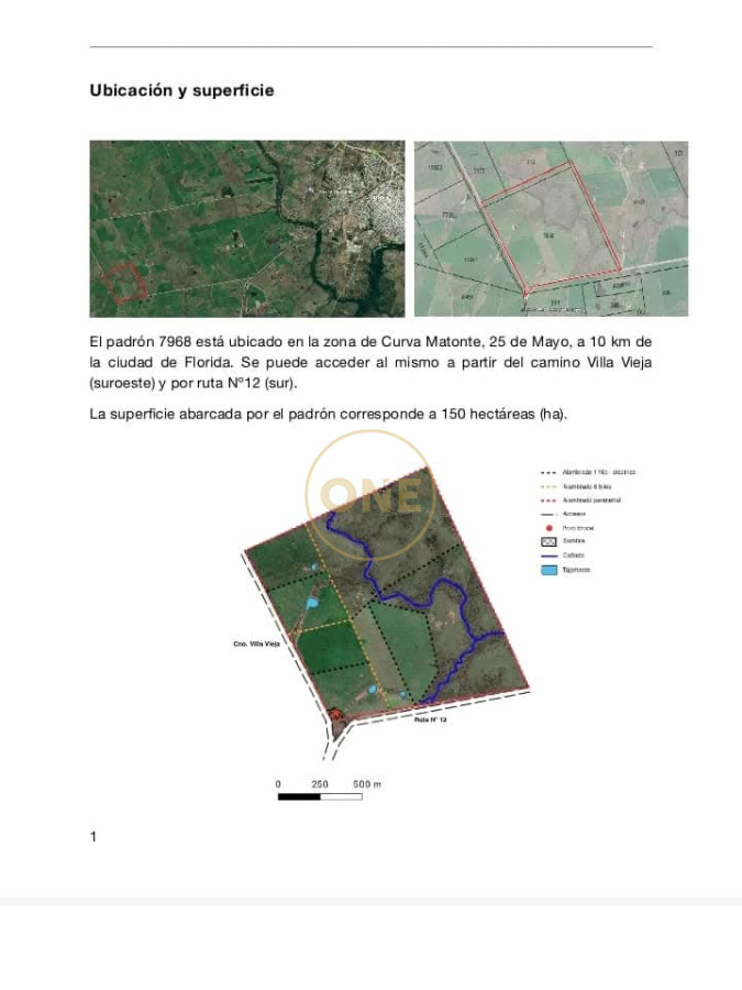 Campo Ref.1575 - venta de Campo de 150 hectáreas en Curva Matonte Florida 