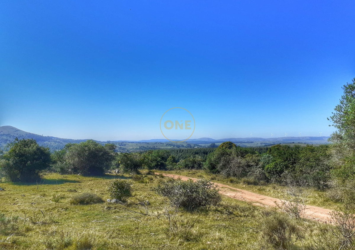 Campo Ref.1582 - Venta Campo de 330 hectáreas en Los Molles Villa Serrana Lavalleja