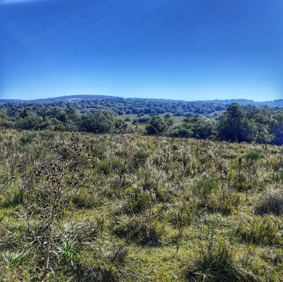 Campo Ref.1582 - Venta Campo de 330 hectáreas en Los Molles Villa Serrana Lavalleja