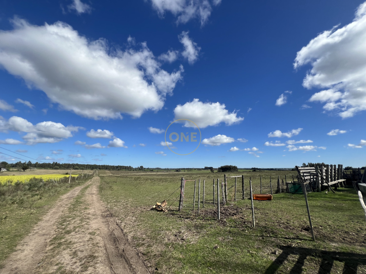 Campo Ref.1906 - Campo en Solís de Mataojo 34 hectáreas con arroyo y casa a la venta 